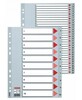 Plastikust vahelehed Esselte, A4, 1-12, hall