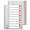 Eralduslehed Esselte, A4, jaanuar-detsember, plastik, hall