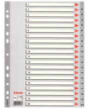 Eralduslehed Esselte, A4, 1-20, plastmass, hall