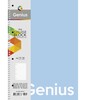 Kaustik joontega Schoolboy A4, 80 lehte, 70 gsm
