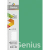 Spiraalvihik ruuduline Genius Schoolboy, A4, 80 lehte