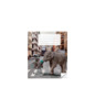 Jooneline vihik Victor Stationery dramblys Ou, 90 g/m2, 36 lehte