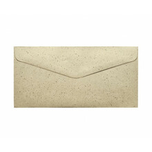 Ümbrikud Galeria Papieru DL Pepper, 120 g/m, 10 tk, pruun
