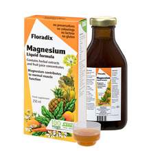 Floradix magneesiumisiirup, 250 ml