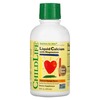 ChildLife vedel kaltsium magneesiumiga, naturaalne apelsinimaitse, 473 ml
