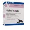 Nefroloxan, 60 kapslit