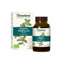 Himalaya Organic Tribulus, 60 kapslit