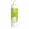 Basiclab Dermatis puhastusgeel ebapuhtale nahale, 300 ml