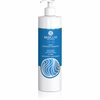 Basiclab Dermocosmetics Capillus igapäevane niisutav šampoon, 300 ml