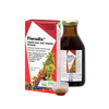 Floradix vedel rauapreparaat, 250 ml