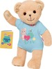 Pehme mänguasi karu Zapf Creation BABY born bear blue