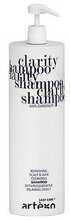 Kõõmavastane šampoon Artego Easy Care T Clarity, 1000 ml