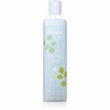 Sügavpuhastav kõõmavastane šampoon Echosline Balance, 300 ml