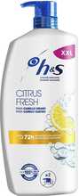 Kõõmavastane šampoon Head&Shoulders H&S Citrus Fresh, 1000 ml dosaator