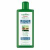 Kõõmavastane šampoon Beauty Formulas Tricologica, 300 ml