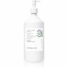 Kõõmavastane šampoon Simply Zen Dandruff Controller, 1000 ml