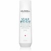 Kõõmavastane šampoon Goldwell Dualsenses Scalp Specialist, 250ml