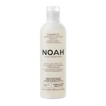 Puhastav kõõmavastane šampoon Noah 1.5, 250 ml