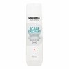 Šampoon Goldwell Dualsenses Scalp Specialist Deep Cleansing, 250 ml