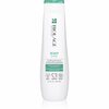 Kõõmavastane šampoon Biolage ScalpSync, 250 ml