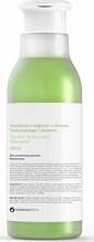 Šampoon Botanicapharma Tea Tree & Aloe Vera, 250 ml