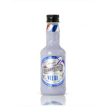 Juuksešampoon kõõma vastu Beardburys Vital, 100 ml