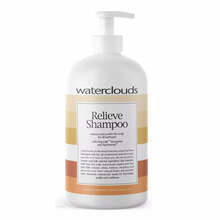 Balansseeriv kõõmavastane šampoon Waterclouds Relieve, 1000 ml
