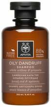 Šampoon kõõma vastu Apivita Oily Dandruff, 250 ml