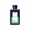 Kõõmavastane šampoon HH Simonsen Dandruff, 250 ml