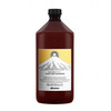Kooriv šampoon kõõmavastane Davines Purifying, 1000 ml