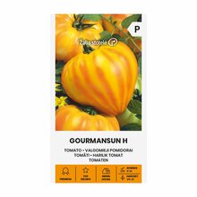Hariliku tomati seemned Gourmansun H