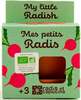 Laste kasvatamiskomplekt Radis et Capucine ökorõikad, roheline