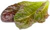 Seemned punane Rooma salat Click & Grow, 3 tk