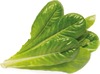 Nutikas poti seemned Click & Grow SGR50X3, rooma salat, 3 tk