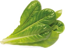 Nutikas poti seemned Click & Grow SGR50X3, rooma salat, 3 tk