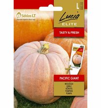 Kõrvitsa seemned Pacific Giant Lucia Elite, 3 g