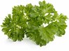Seemnete täitepakend Click & Grow Smart Garden Petersell, 3 tk, SGR13X3