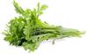 Seemned Click & Grow Smart Garden täitepakend Shungiku, 3 tk, SGR81X3