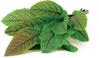 Nutikas poti täitepakend Click & Grow Smart Garden Bloody Sorrel, 3 tk, SGR33X3