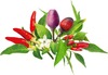 Seemned nutipottidele Click & Grow Plant Pod Chilli Pepper Mix, 9 tk
