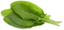 Seemned nutipotti Click & Grow Smart Garden Green Sorrel, 3 tk, SGR55X3