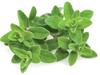 Seemnete täitepakend Click & Grow Smart Garden majoraan, 3 tk, SGR41X3