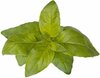 Seemned nutipotti Click & Grow Smart Garden refill Lime Basil, SGR100X3, 3 tk