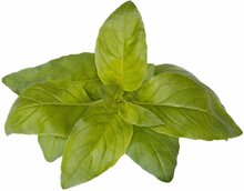 Seemned nutipotti Click & Grow Smart Garden refill Lime Basil, SGR100X3, 3 tk