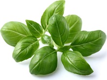 Seemnepadrunid Click & Grow SGR3X3, 3 tk, basiilik