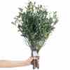 Kunsttaim AmeliaHome Planti, 56 cm, roheline