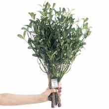 Kunsttaim AmeliaHome Planti, 56 cm, roheline