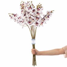 Kunstlill AmeliaHome Faleni, 76 cm, valge