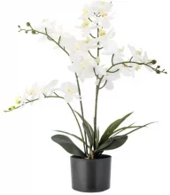 Kunstlill Bloomingville Orchid, 84 cm, valge