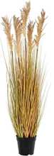 Kunstmuru House Nordic Sorghum, 110 cm, roheline